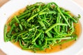 stir-fried vagatable fern with oyster sauce Royalty Free Stock Photo