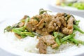 Stir fry chinese cowpea and pork Royalty Free Stock Photo