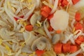 Stir fry mixed vegetables with bean sprouts close view Royalty Free Stock Photo