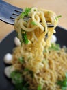 Stir-fry Noodles