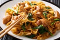 Stir fry of noodles with chicken, Chinese broccoli and egg close-up on a plate. Thai Pad See Ew. Horizontal Royalty Free Stock Photo