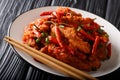 Stir fry Schezwan chicken spicy sauce close-up on a plate. horizontal Royalty Free Stock Photo