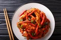 Stir fry Schezwan chicken spicy sauce close-up on a plate. horizontal top view