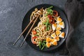 Stir fry udon noodles Royalty Free Stock Photo