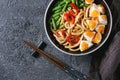 Stir fry udon noodles Royalty Free Stock Photo