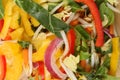 Stir fry vegetables closeup