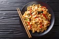 This stir-fry of wide rice noodles with chicken and fresh basil in a spicy, sweet and tangy sauce close-up on a plate. horizontal