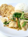 Stir vegetables with Tofu in chinese style with gravy Sauce and thai style omelet with rice in white plate on background. Vegetari Royalty Free Stock Photo
