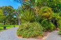 Stirling gardens in Perth, Australia Royalty Free Stock Photo