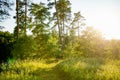 Stirniai mound surrounded with green trees, located near Vilnius, Lithuania, on sunny summer day