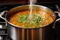 stirring lentil soup in a large silver pot