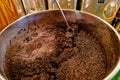 Stirring and mixing barrique pinot noir grapes fermenting in an open tank during wine-making Royalty Free Stock Photo