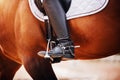 In the stirrup is the foot of a rider in a black boot, sitting on a bay racehorse. Equestrian sports. Horse riding