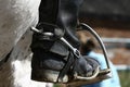 Stirrups Royalty Free Stock Photo
