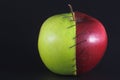 Stitched Apple Royalty Free Stock Photo