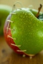 Stitched apples Royalty Free Stock Photo