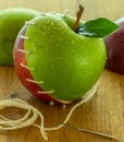 Stitched apples 03