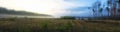 Stitched Panorama. Hanoramic view of early autumn misty pine forest. Early morning, sun is rising. Royalty Free Stock Photo