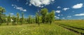 Stitched Panorama of a meadow with green grass and trees and a road and blue cloudy sky Royalty Free Stock Photo