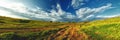 Stitched Panorama. Panorama of a large green meadow with grass, trees in the distance and beautiful clouds on a sunny summer day. Royalty Free Stock Photo