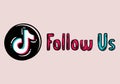 Follow Us TikTok - button for social media, phone icon symbol logo of TikTok Royalty Free Stock Photo