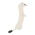 stoats,ermine and weasels cute 10