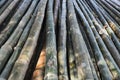 Stock of bamboo poles Royalty Free Stock Photo