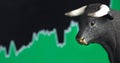 Stock bull market with green chart Royalty Free Stock Photo