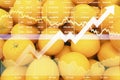 Stock financial index show successful investment on agriculture products such as organic fruit market with graph and chart.