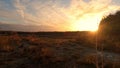 Golden Hour Over Untamed Meadow: Aerial View