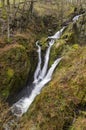 Stock Ghyll Force, Ambleside, Cumbria, UK Royalty Free Stock Photo