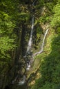 Stock Ghyll Force in the Lake District Royalty Free Stock Photo