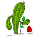 Stock Illustration Cactus and Red Flower