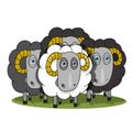 Stock Illustration Herd of Rams