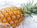 An Stock illustration of pineapple fruit falling into water in a splash, on a white background. Lots of crystal drops Royalty Free Stock Photo