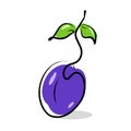 Stock Illustration Ripe Plum