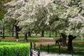 Stock image of Boston Common and Public Garden, USA Royalty Free Stock Photo