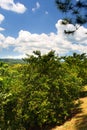 Stock image of Croydon Plantation, Jamaica Royalty Free Stock Photo