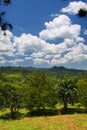 Stock image of Croydon Plantation, Jamaica Royalty Free Stock Photo