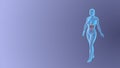 Visualizing the Female Urinary System while walking pose Royalty Free Stock Photo