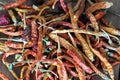 Stock Image of Dried Chillis