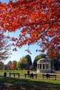 Stock image of fall foliage at Boston Public Garden