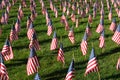 Stock image of Field of American Flags Royalty Free Stock Photo