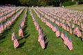 Stock image of Field of American Flags Royalty Free Stock Photo