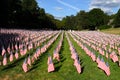 Stock image of Field of American Flags Royalty Free Stock Photo