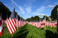 Stock image of Field of American Flags Royalty Free Stock Photo