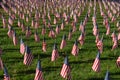 Stock image of Field of American Flags Royalty Free Stock Photo