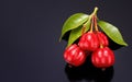 Ripe Pitanga fruit - Surinam cherry - Brazilian cherry - French cherry - Cayenne cherry - Florida cherry.