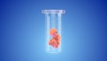 Test tube baby vitro fertilization