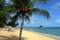 Stock image of Tioman island, Malaysia Royalty Free Stock Photo